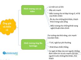 so do tu duy bai ong gia va bien ca