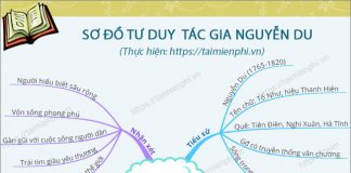 so do tu duy tac gia nguyen du