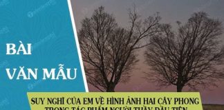 suy nghi cua em ve hinh anh hai cay phong trong tac pham nguoi thay dau tien cua ai ma top