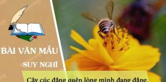suy nghi ve cau tho cay cuc dang quen long minh dang dang