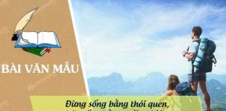 suy nghi ve loi khuyen dung song bang thoi quen hay song bang trai nghiem