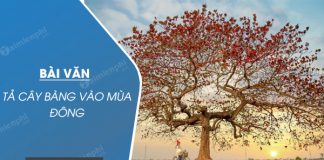 ta cay bang vao mua dong