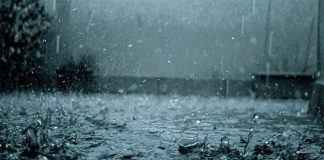 Tả cơn mưa rào mùa hạ