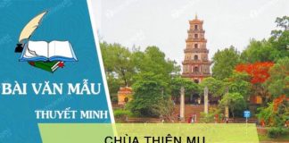 thuyet minh ve chua thien mu
