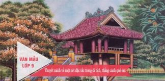 thuyet minh ve mot net dac sac trong di tich thang canh que em