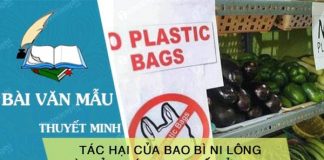 thuyet minh ve tac hai cua bao bi ni long va giai phap han che su dung bao bi ni long