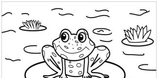Tô màu con ếch