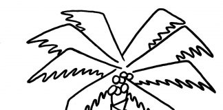 các bức tranh tô màu cây dừa cho bé