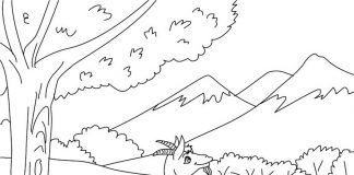 các bức tranh tô màu con dê cho bé