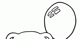 các bức tranh tô màu con gấu cho bé