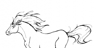 các bức tranh tô màu con ngựa cho bé