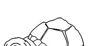 các bức tranh tô màu con rùa cho bé