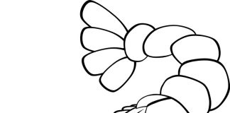 các bức tranh tô màu con tôm cho bé