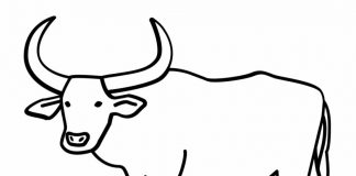 các bức tranh tô màu con trâu cho bé