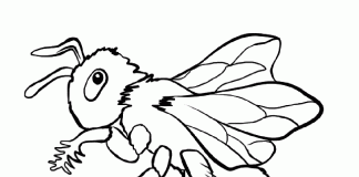 các bức tranh tô màu côn trùng cho bé