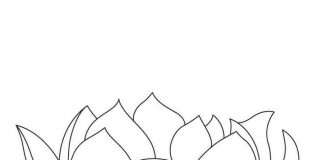 các bức tranh tô màu hoa sen cho bé