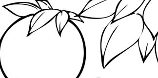 các bức tranh tô màu quả bưởi cho bé