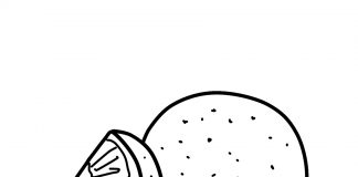 các bức tranh tô màu quả cam cho bé