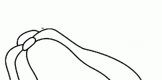 các bức tranh tô màu quả đu đủ cho bé