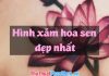 những hình xăm hoa Sen đẹp nhất