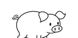 tranh tô màu con heo đẹp nhất