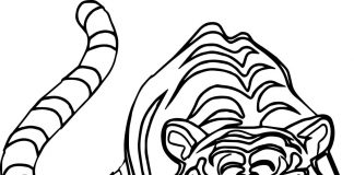 tranh tô màu con hổ đẹp nhất