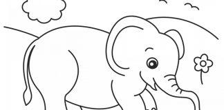 tranh tô màu con voi đẹp nhất