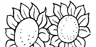 tranh tô màu hoa hướng dương đẹp nhất