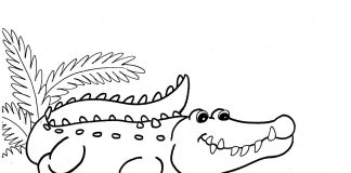 Tranh tô màu cá sấu