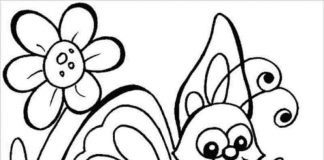 Tranh tô màu con bướm