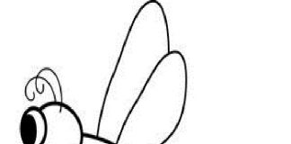 Tranh tô màu con chuồn chuồn