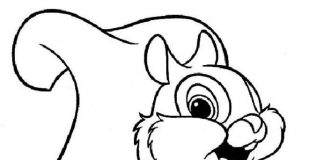 Tranh tô màu con sóc