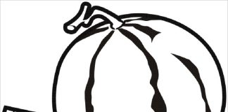 Tranh tô màu quả dưa hấu