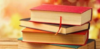 Em hãy viết bài văn khoảng 400 đến 500 chữ phân tích đặc điểm một nhân vật văn học mà em có ấn tượng sâu sắc