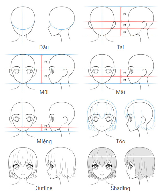 Hướng Dẫn Vẽ Đầu Và Khuôn Mặt Nhân Vật Anime Nữ - Thcs-Thptlongphu.Edu.Vn
