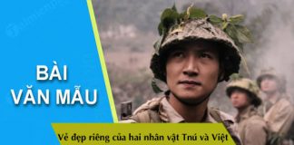 ve dep rieng cua hai nhan vat tnu trong rung xa nu va viet trong nhung dua con trong gia dinh