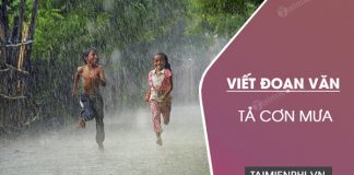 viet doan van ngan ta con mua