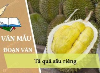 viet doan van ngan ta qua sau rieng