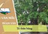 viet doan van ngan ta than bang