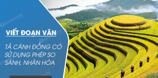 viet doan van ta canh dong lua trong do co su dung bien phap so sanh va nhan hoa