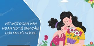 viet mot doan van ngan noi ve tinh cam cua em doi voi me