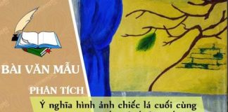 y nghia hinh anh chiec la cuoi cung trong truyen ngan chiec la cuoi cung