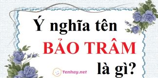 Ý nghĩa tên Bảo Trâm là gì? Tên Bảo Trâm có ý nghĩa gì?