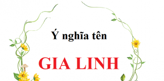 Ý nghĩa tên Gia Linh là gì?