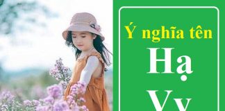 Ý nghĩa tên Hạ Vy là gì? Có nên đặt tên con là Hạ Vy