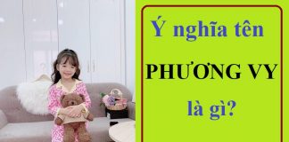 Ý nghĩa tên Phương Vy là gì? Tên Phương Vy có ý nghĩa gì, tốt hay xấu?