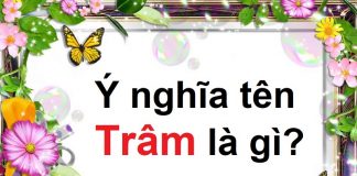 Ý nghĩa tên Trâm là gì? Tên Trâm có ý nghĩa gì?