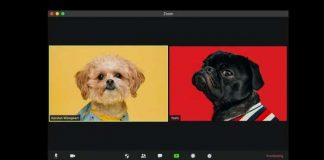 Tối ưu hóa băng thông mạng khi dùng Zoom