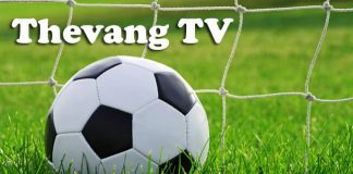 Thevangtv trang web xem trực tiếp bóng đá miễn phí